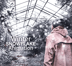 极品PS动作－冬日降雪(GIF动画/含效果视频)：Winter Snowflake Animation